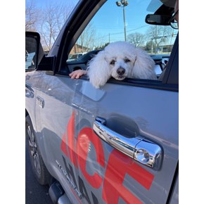 Moral Booster CC, Wilkes-Barre, PA