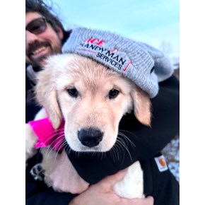 Ace Handyman Services Wilkes-Barre and Scranton Pup in Wyoming, PA