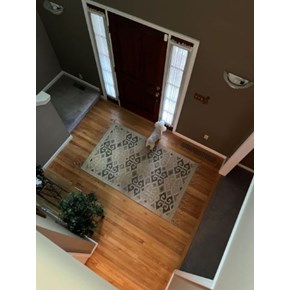 Ace Handyman Services Wilkes-Barre and Scranton Mascott CC ready to go to Work