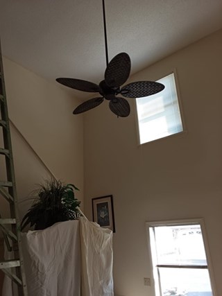 Ceiling fan remove and replace on a 15' ceiling.