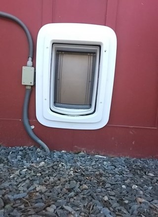 doggy door installation greenville  After Ace Handyman Services Upstate South Carolina and Greenville
