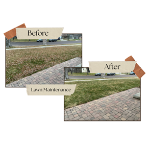 Lawn Maintenance Valley Springs, SD Lawn Maintenance Valley Springs, SD