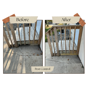 Pest Control Carpentry Renner, SD Pest Control Carpentry Renner, SD