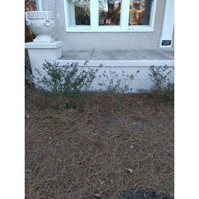 Stucco and exterior paint repair in Murfreesboro, TN