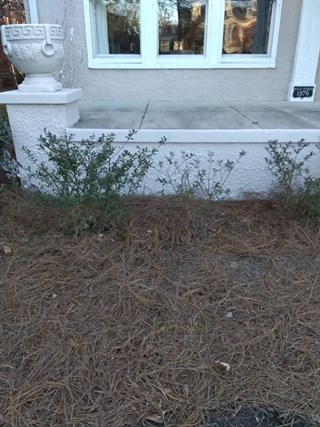 Stucco and exterior paint repair in Murfreesboro, TN