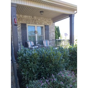 Stained columns & shutters in Murfreesboro, TN