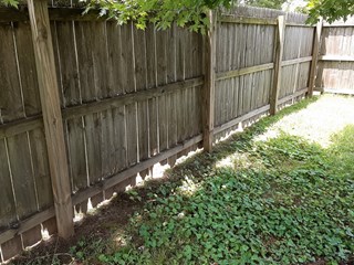 Fence Before