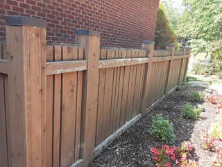 Paint fence bf