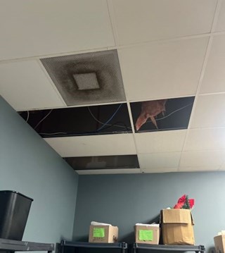 Ceiling Tile