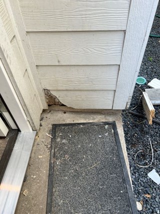 Damaged Exterior Siding by Back Door