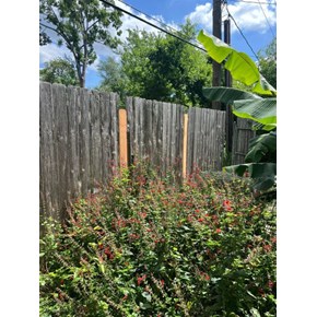 Fence Board Replacement