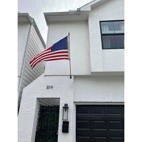 Mounted American Flag