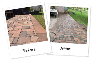 Paver Level