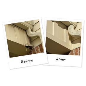 Zach Facia Repair