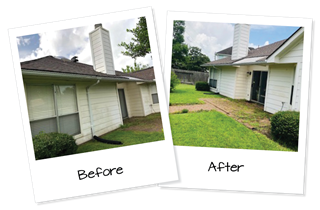 Pressure Wash Exterior