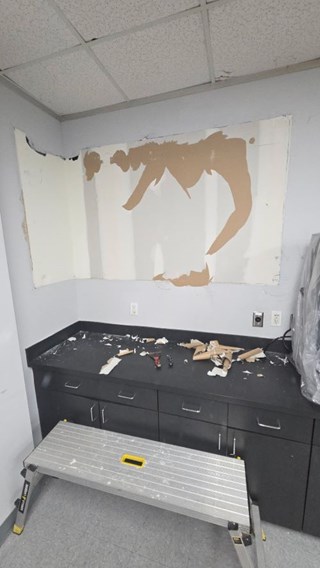 Damaged Drywall & Peeling Paint