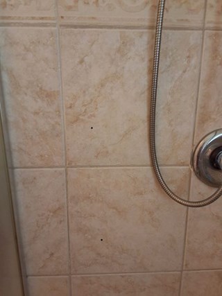 Bathroom Without Handrails