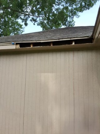 Rotted Board