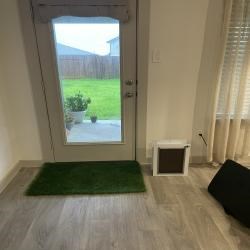 Installation of dog door before