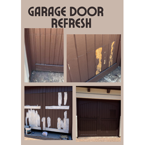 Shelf Removal and Repair