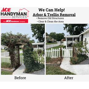Arbor & Trellis Removal Clean Up