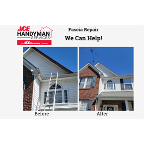 Fascisa Repair - Suffolk