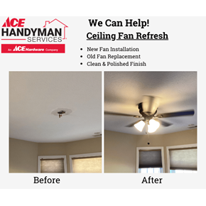 Ceiling Fan Refresh