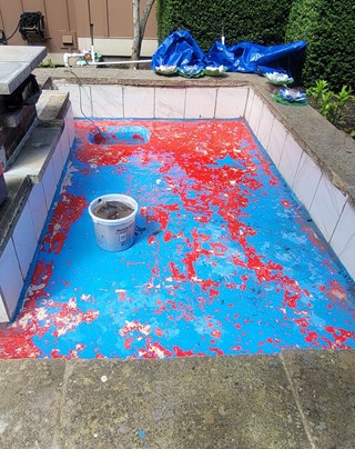 Before Pond Refresh by Ace Handyman Services in Gig Harbor, WA.