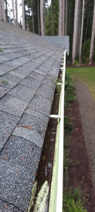Before clean up & Gutter guard installation Ace Handyman Services in Bainbridge Island, WA