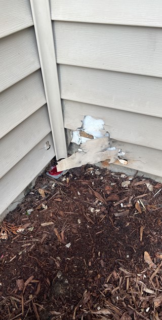 Before siding repair by Ace Handyman Services, in Poulsbo, WA