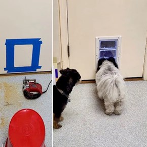 North Seattle Pet Door Installation