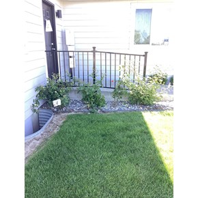 How do I add safety rails to a concrete porch? Who is a good contractor to call for front porch rails installation?