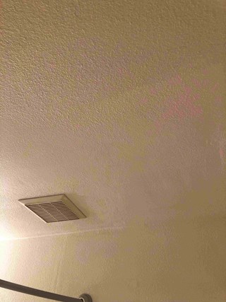 Ceiling Damage Contractor and Handyman -  99352; 99353; 99354; 98301; 99337; 99336