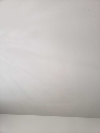 Wall Repair and Painting Handyman Contractor - 99352; 99353; 99354; 98301; 99337; 99336