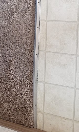 Interior Home Maintenance; Interior Home Repair Handyman - 99352; 99354; 99336; 99337; 99338; 99353