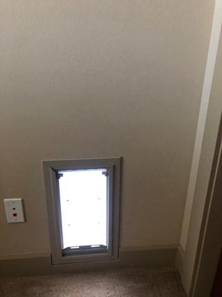 Handyman Pet Door installation 99352; 99353; 99354; 98301; 99337; 99336
