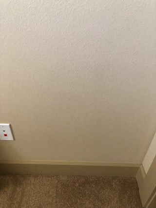 Handyman Pet Door Installation 99352; 99353; 99354; 98301; 99337; 99336