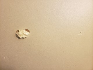 Drywall Repair Near Me, 99352, Handyman Drywall Repair, 99336, Home Repair Services 99352