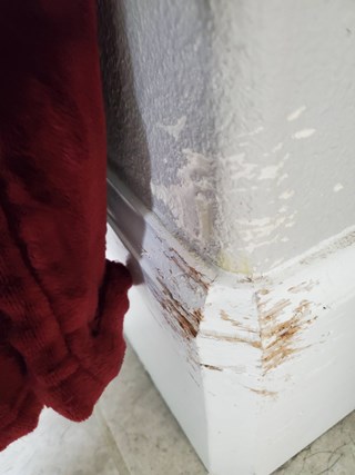 Trim Repair - Richland, WA 99352 99354 -Trim Repair Kennewick, WA  99337 99336- Trim Repair Pasco, WA 98301