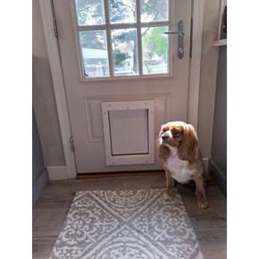 Ace Handyman Services Waukesha Lake Country Pet Door Install in Waukesha Wisconsin