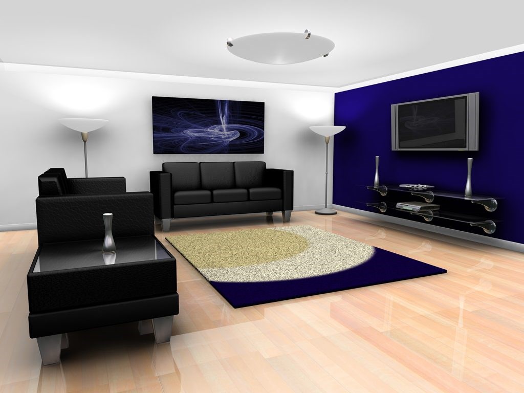 Professional TV Installation