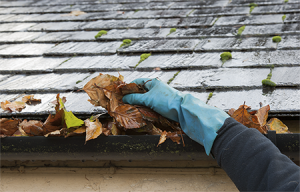 Clogged Gutter_small