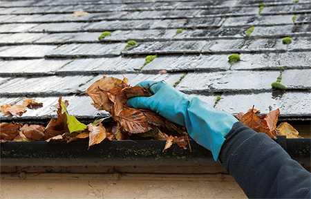 Clogged Gutter_small