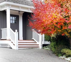 AHS-fall-home-2020-blog