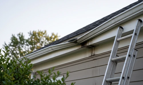Gutter run with visible standing water and a slight sag, viewed from the ground with an extension ladder braced against the fascia, morning light