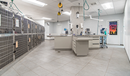 Handyman Services for Veterinary Clinics
