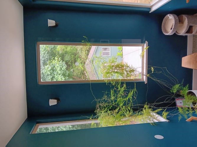 Small room with teal walls, large windows, and potted plants.