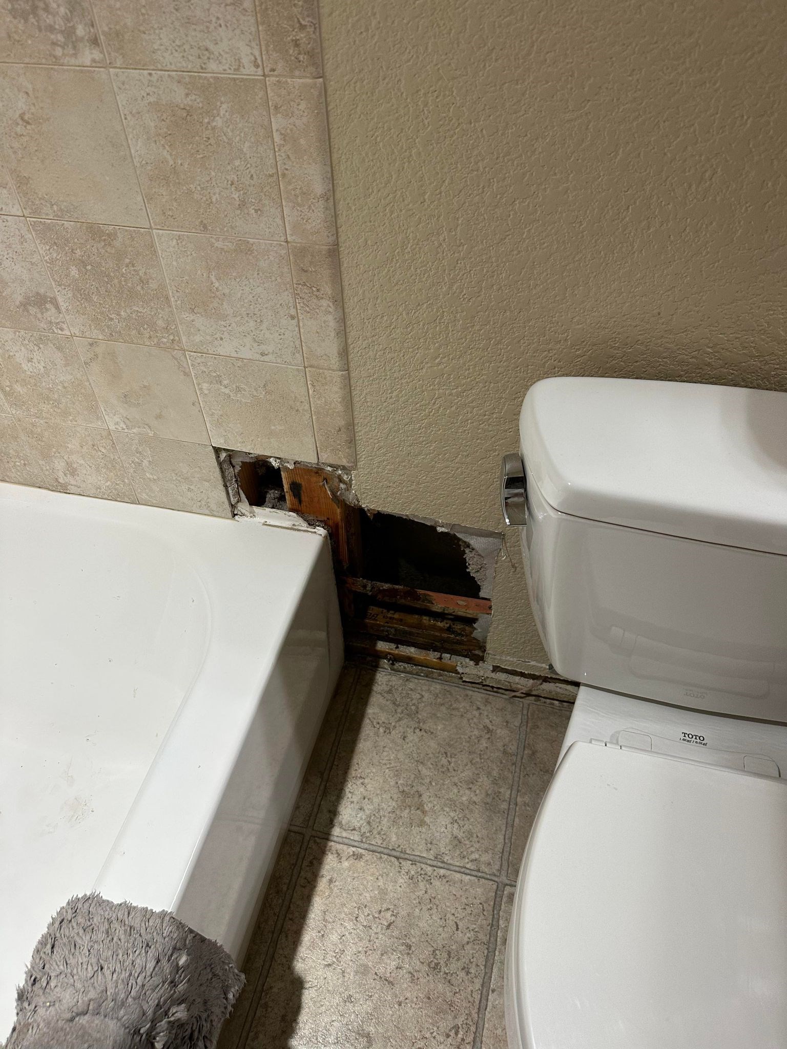 Bathroom wall damage near tub and toilet, tiles partly removed.