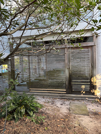 Weathered corrugated metal shed with overgrown plants nearby.