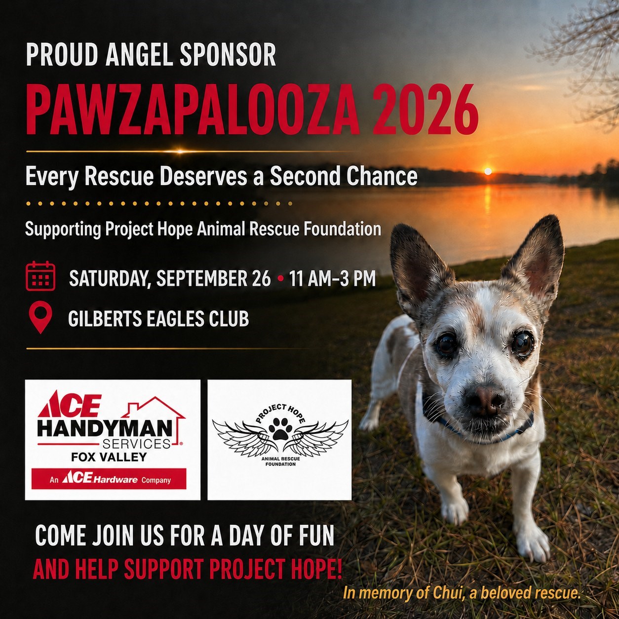 https://acehandyman-dss.ingeniuxondemand.com/Images/Offices/Illinois/Fox Valley/Blog/AHSFV_Pawz_Post_under_500kb.jpg AHSFV Pawz Post